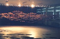 Kim,Youn Hui の作品