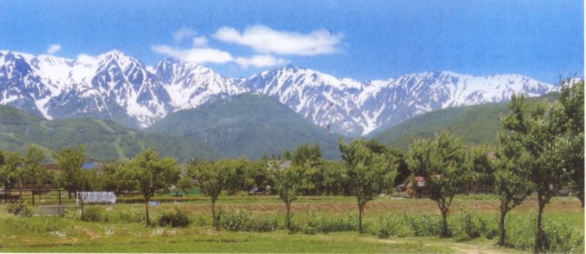 2011hakuba1